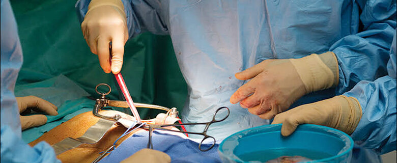 انسٹی چیوٹ آف میڈکل سائنسزصورہ کاایک اہم سنگ میل