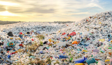 دہلی میں کچرے کے انتظام کیلئے کوکا-کولا ،چنتن کی پیشرفت