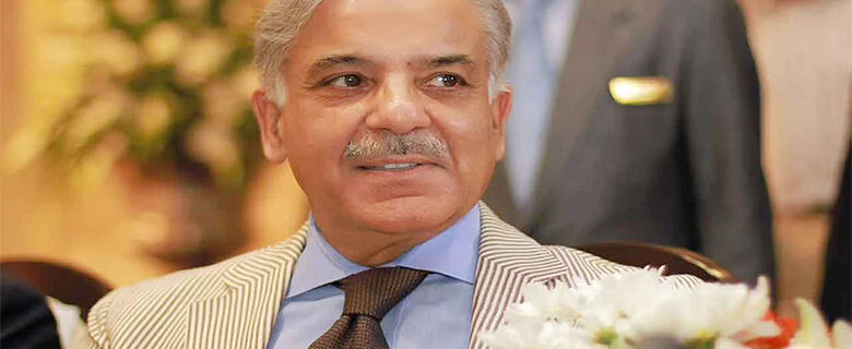 شہباز شریف کے لئے مشکلیں بڑھا سکتے ہیں ان کے بیٹے