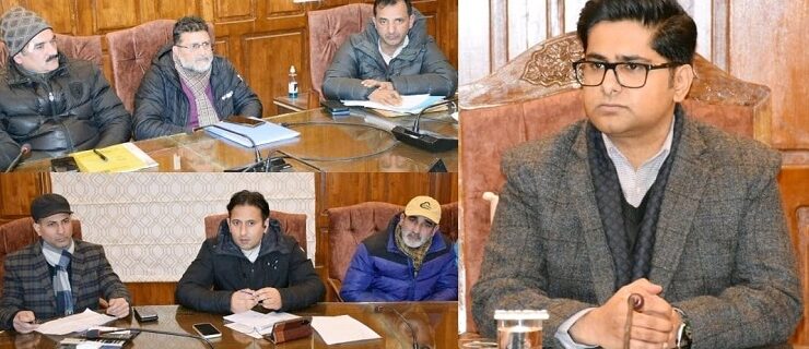DC B'pora reviews power scenario