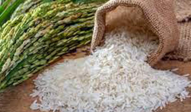 rice