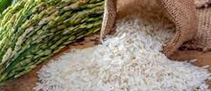 rice