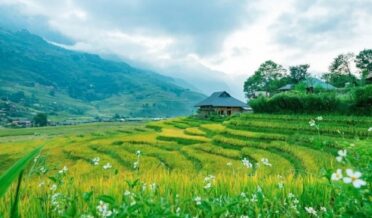 Govt approves Rs 30.40 crore project 'Sensor-based Smart Agriculture' for Jammu and Kashmir farmers