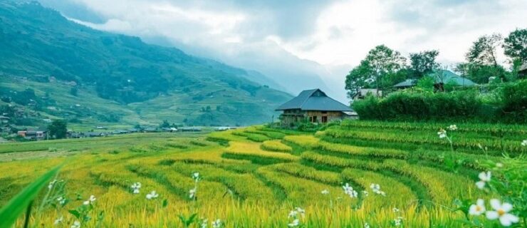 Govt approves Rs 30.40 crore project 'Sensor-based Smart Agriculture' for Jammu and Kashmir farmers