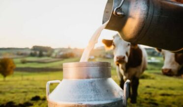 Promotion of dairy sector in Jammu and Kashmir