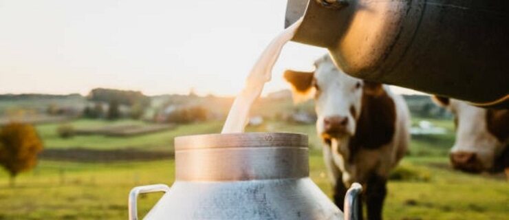 Promotion of dairy sector in Jammu and Kashmir