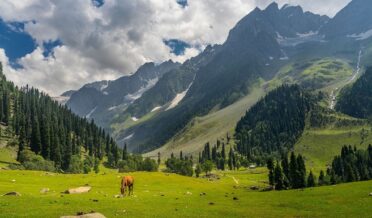 Chattabal