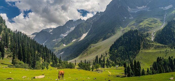 Chattabal