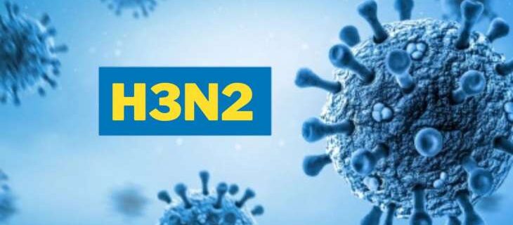 H3N2