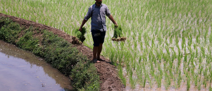 Kisan Samprak Abhiyan