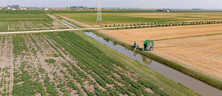 In the financial budget 2023-24, Rs 3,156 crore has been allocated for agriculture and rice-related sectors.