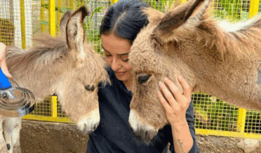 ’ایسا ہی ہوتا ہے‘ جانوروں کے بارے میں ایسی فلم جو آپ نے پہلے کبھی نہیں دیکھی ہوگی’