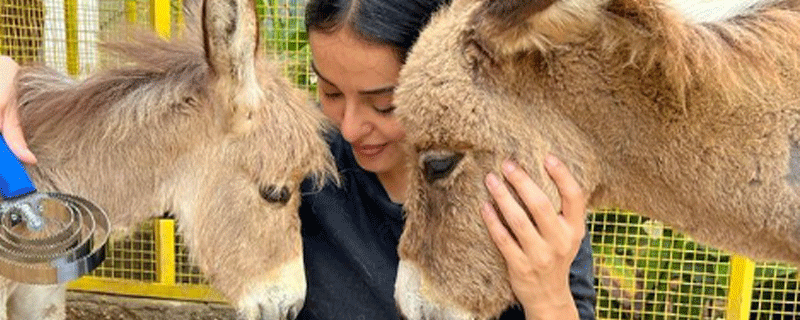 ’ایسا ہی ہوتا ہے‘ جانوروں کے بارے میں ایسی فلم جو آپ نے پہلے کبھی نہیں دیکھی ہوگی’