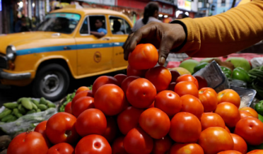 tomatoo