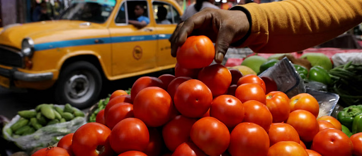 tomatoo