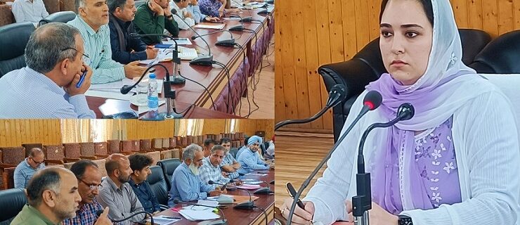 Dr Syed Sehrish Reviews progress of works under District Capex Budget, CSS, BADP & Other Sectors