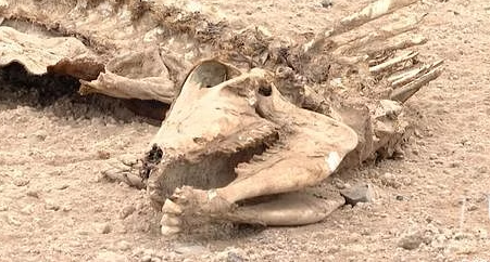 موسمیاتی تبدیلی سے کمزور ملکوں میں تصادم میں اضافے کا خدشہ