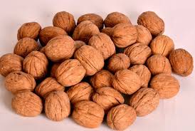 walnut