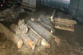 Illegal wood seized in Handwara, accused arrested