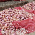 onion