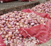 onion