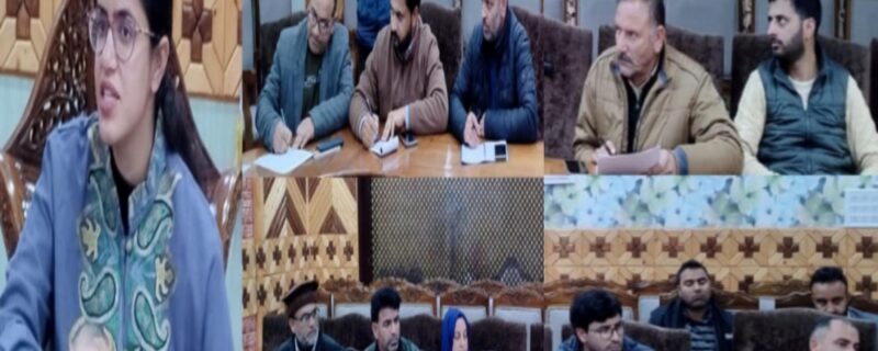 DC Kupwara reviews progress of æPM Vishwakarma Scheme in the district