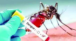 جموں کشمیر کے مختلف علاقوں میں ڈینگی بیماری کا پھیلا ئو جاری