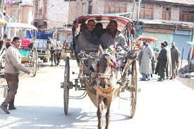 Mutton Ada Anantnag where even today, Tanga Swari is available and people enjoy it