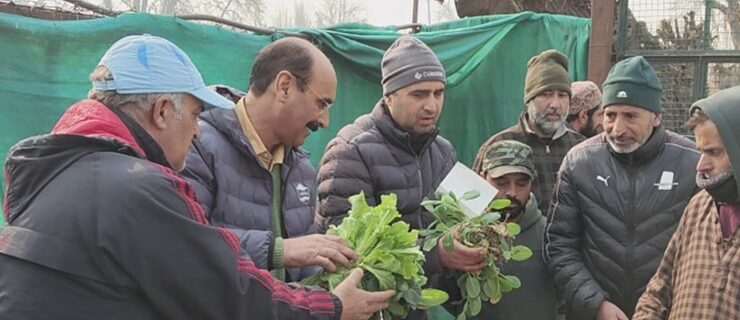 Director Agriculture Kashmir visits different areas of Srinagar districts.