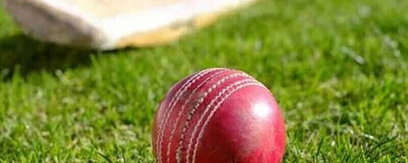 بھارت میں گیند سر پر لگنے سے کرکٹر چل بسا