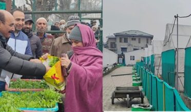 Director Agriculture inaugurates 3rd phase of Vegetable Seedling distribution at Kitchen Garden Lalmandi