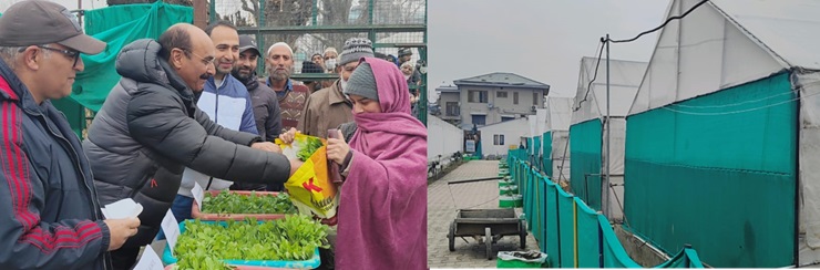 Director Agriculture inaugurates 3rd phase of Vegetable Seedling distribution at Kitchen Garden Lalmandi