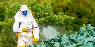 pesticides in the entire valley