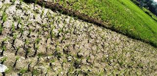 The worrisome side of the drought, even in the cities and villages