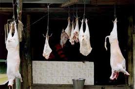 mutton hunger