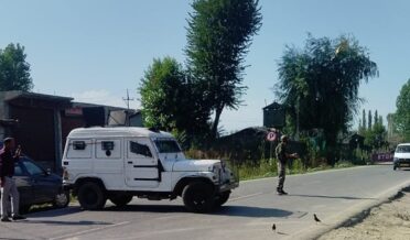 kashmir