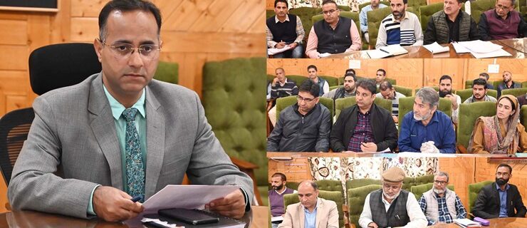 ضلع ترقیاتی کمشنر شوپیان نے ڈِسٹرکٹ کیپکس اور پی آر آئی گرانٹس کے تحت کاموں کی الاٹمنٹ کا جائزہ لیا