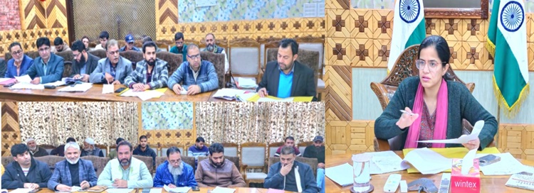 ضلع ترقیاتی کمشنر کپواڑہ نے رینٹ اسسمنٹ کمیٹی میٹنگ کی صدارت کی