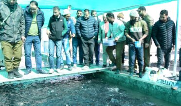 ماہی پروری شعبے میں جموں وکشمیر میں روزگار اور معیشت کے وسیع اِمکانات موجود ہیں۔ جاوید احمد ڈار