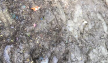 محلہ ژیر ہار رفیق آباد لدو لڈورہ رفیع آباد لنک روڑخستہ حال