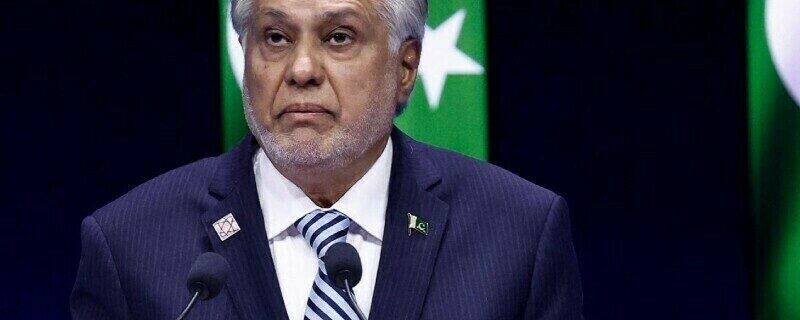 افغان عبوری حکومت سے کہا ہے اپنی سرزمین دہشت گردی کیلئے استعمال نہ ہونے دے، اسحٰق ڈار