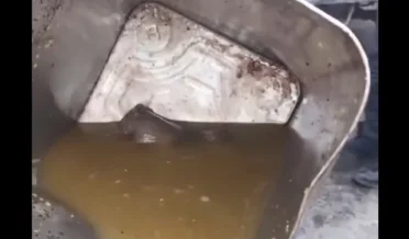 حضرت بل کے قریب گلی فروش کے آئل ٹن میں مردہ چوہے پائے گئے