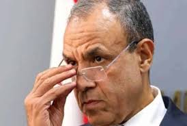 مصر کے پاس فلسطینیوں کو نکالے بغیرغزہ کی تعمیر نو کا ویژن موجود