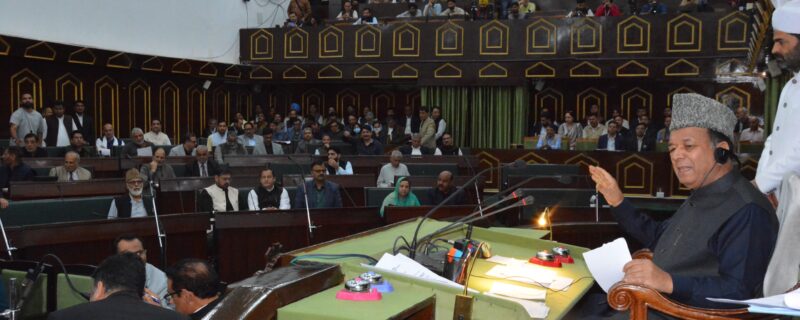 قانون ساز اسمبلی میں وقفہ صفر