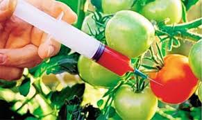 اشیائے خورد ونو ش میں ملاوٹ اورمیوہ جات کو انجکشن لگاکروقت سے پہلے تیار کرنے کا معاملہ