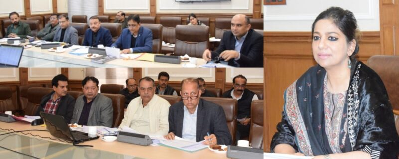 یشا مدگل نے محکمہ سیاحت کے کیپیکس بجٹ 2024-25 کا جائیزہ لیا