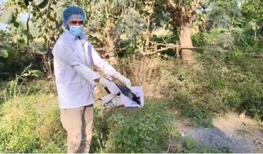 بہار میں 20کوّوں کی پراسرار موت، برڈ فلو کا شبہ مسترد