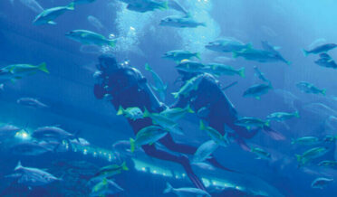 انسانی سرگرمیاں سمندروں کی قدرتی کاربن پکڑنے کی صلاحیت میں خلل کا سبب قرار