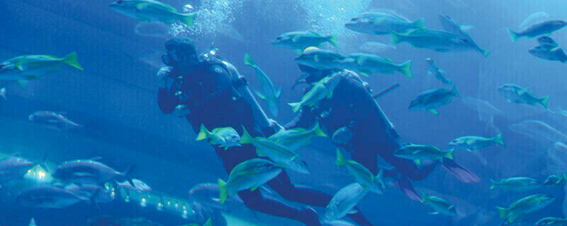 انسانی سرگرمیاں سمندروں کی قدرتی کاربن پکڑنے کی صلاحیت میں خلل کا سبب قرار