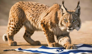 اسرائیل کیلئے خوف کی علامت بننے والی بلی کو غزہ جنگ سے کیوں جوڑا جارہا ہے؟